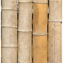 Murli Bamboo Pole, for Camping, Grade : Semi Round Plastic Ends