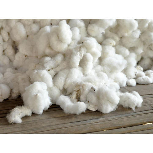 Natural Raw Cotton, for Textile Industry, Color : White