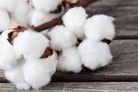Washable Raw Cotton, for Textile Industry, Color : White