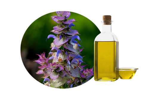 Organic Clary Sage Oil, for Cosmetics, Medicines, Form : Liquid