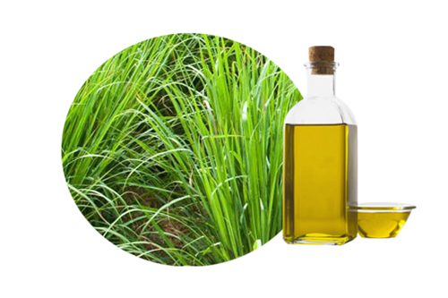 Organic Palmarosa Oil, for Medicine Use, Form : Liquid