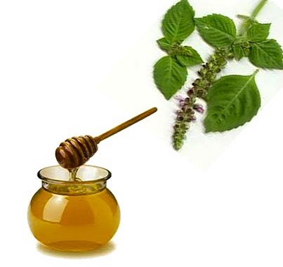 Tulsi Flora Honey, for Clinical, Cosmetics, Feature : Digestive, Energizes The Body, Freshness