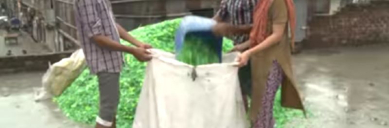 Crushed Color PET Bottles -Scrap