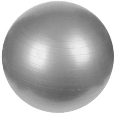 Rishi 1650 gram PVC Gym Ball, Size : 95 cm