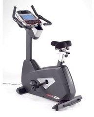 Commercial Upright Bike