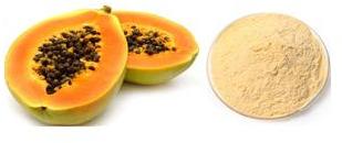 papaya powder