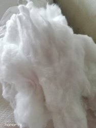 Hygiene Absorbent Cotton Wool, Packaging Size : Lap