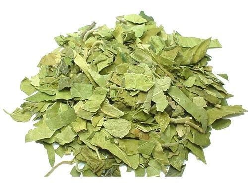 Dried Gurmar Leaves (Gymnema sylvestre)