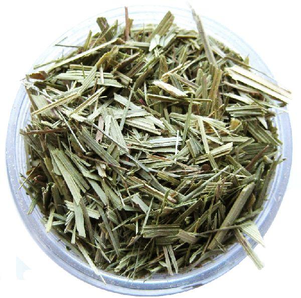 Organic Dried Lemongrass Leaves, Packaging Type : Plastic Packet