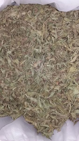 dried stevia leaves