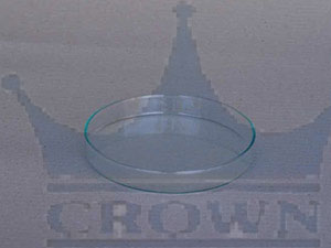 Polished Glass Petri Dish, Feature : Fine Finished, Light Weight, Washable