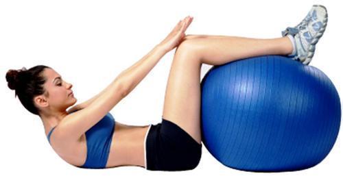 Gym Exercise Ball, for Physiotheraphy Clinic, Home