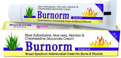 Aloe Vera Burns Cream, Packaging Size : 20 gm