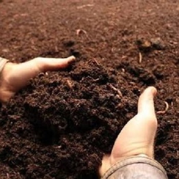 Brown Vermicompost Fertilizer, for Agriculture, Standard : Bio Grade