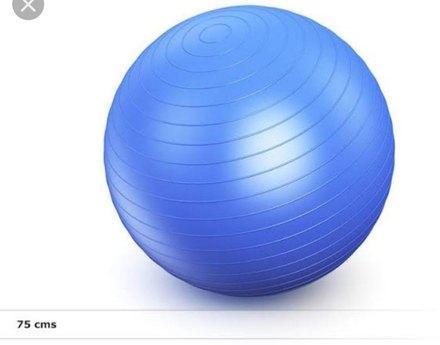 Sai Pharma Rubber Physiotherapy Balls, Size : 75 cm