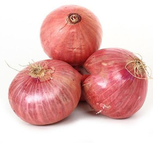 Common fresh onion, Shape : Oval-Round, Round