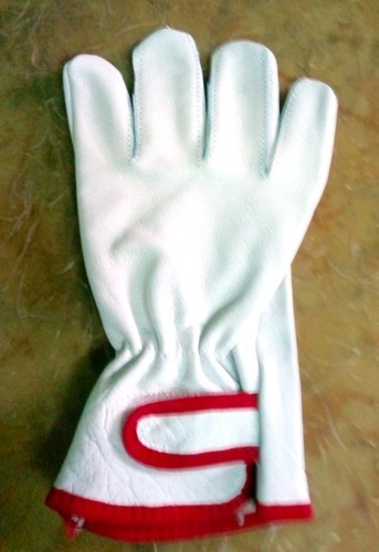 Safety Hand Gloves