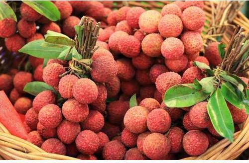 Common Fresh Baruipur Litchi, Style : Canned