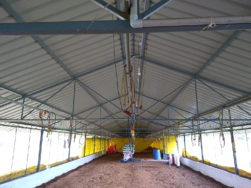 Poultry shed construction