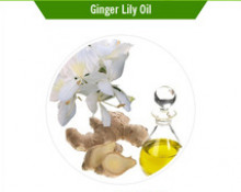  Ginger Lily Oil, Certification : CE, GMP, MSDS, COA