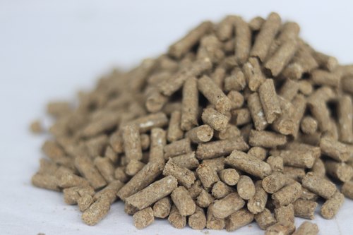  Cattle Feed, Packaging Size : 50 kg