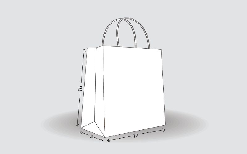 Shopping Bag Size - L16 x W12 x G5 at Rs 9 / Bag in Aurangabad