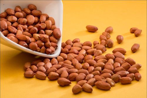 Organic Bold Peanuts, Shelf Life : 3 Months