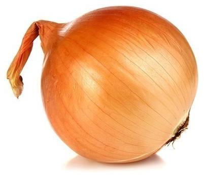 Organic Fresh Yellow Onion, Packaging Type : 50 Kg Jute Bag