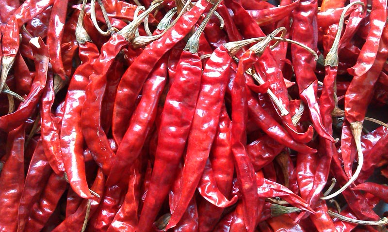 Natural Dried Red Chilli, Shelf Life : 1year