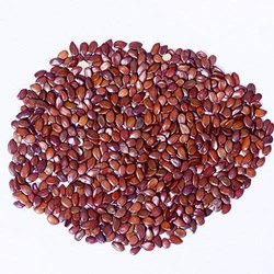 Subabul seeds, Color : Brown
