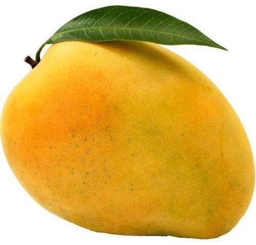 Fresh Hapus Mango