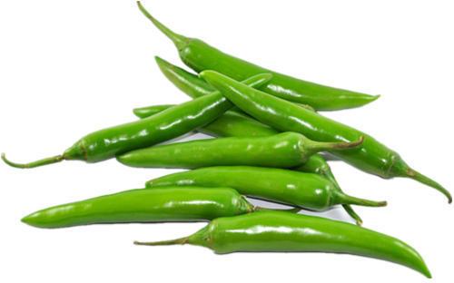 Organic Fresh Long Green Chilli