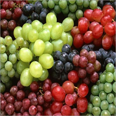Organic Fresh Natural Grapes, Color : Black, Light Green, Red