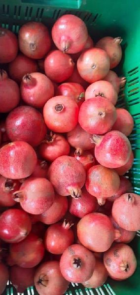 Fresh Red Pomegranate