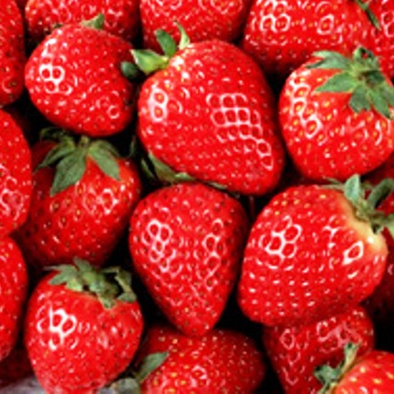 Organic Fresh Sweet Strawberry, Color : Red