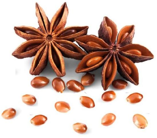 Organic Star Anise Seeds, Style : Dried
