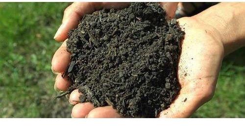 Organic Bio Fertilizer, for Agriculture, Purity : 100%