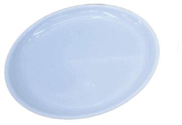 Plastic Dinner Plate