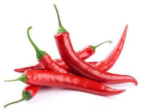 Organic Fresh Red Chili, for Good Health, Packaging Type : Plastic Packet