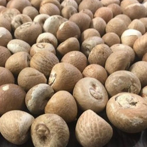 Whole Betel Nut, for Medicine, Herbal, Food