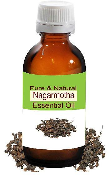 Pure Nagarmotha Essential Oil, for Medicine Use, Personal Care, Purity : 100%