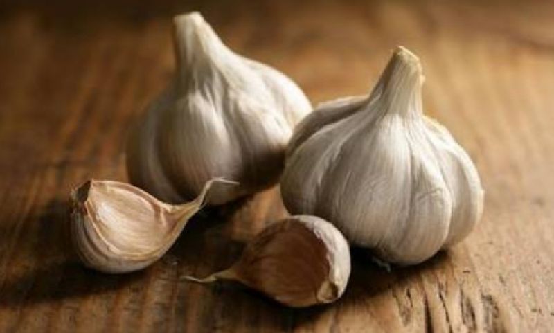 Garlic, Shelf Life : 1years, 3months, 6months