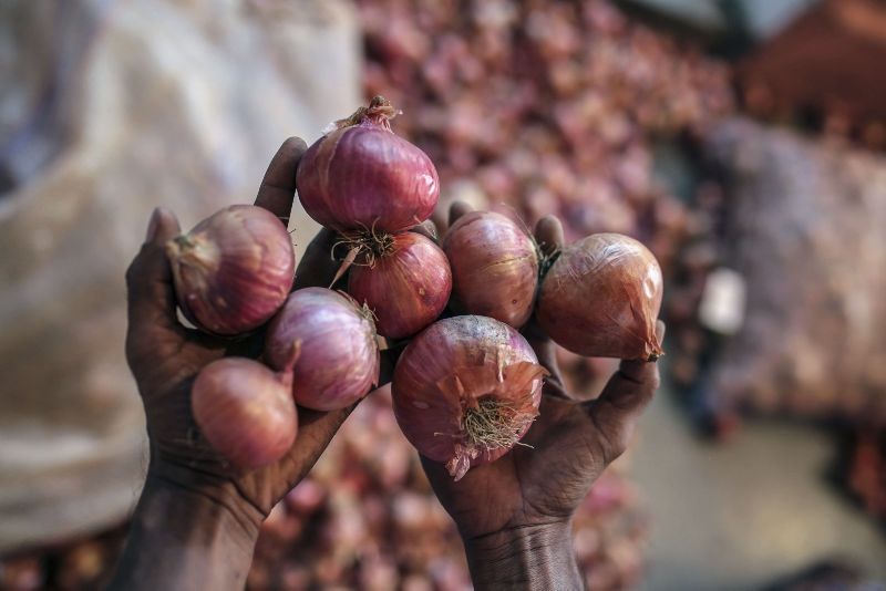 Red Onion