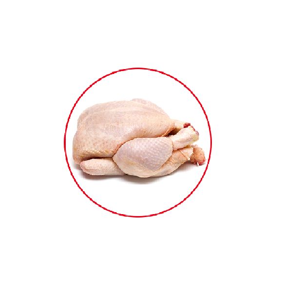 Frozen Whole Chicken Buy frozen whole chicken for best price at INR 100INR 135 / Kilogram