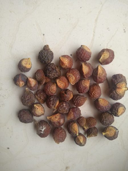 Soap Nut Tamil Name