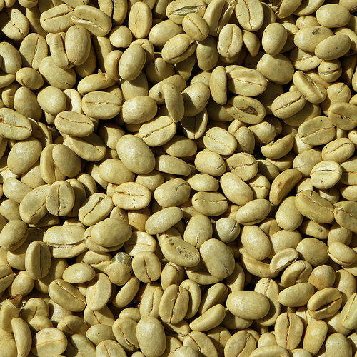 Green coffee beans, Form : Dried