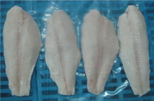 Frozen Pangasius Fish Fillets