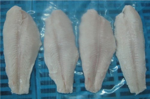 Frozen Pangasius Fish Fillets, for Restaurant