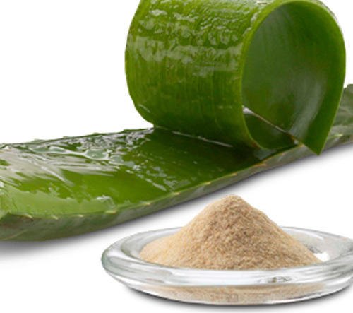 Aloe Vera Extract Powder For Cosmetic Industry Packaging Type Hdpe Drum At Best Price In 5990
