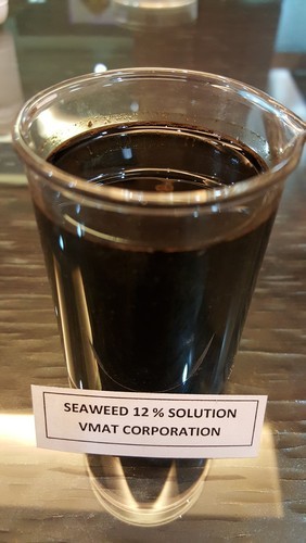 Seaweed Fertilizer, Color : Brownish Black